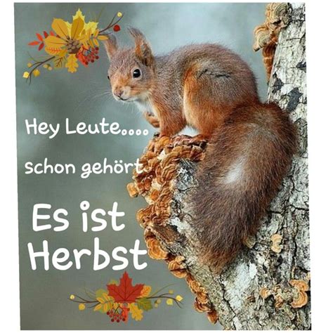 herbstgruß lustig